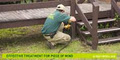 Pest Control and Termite Inspections :: Pest Patrol QLD image 3