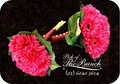 Pick of the Bunch Florist Albury image 5