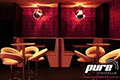 Pure Nightclub logo