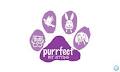 Purrfect Pet Sitting Perth image 2