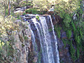Queen Mary Falls Caravan Park and Cabins image 1