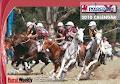 Queensland Polocrosse Association image 3