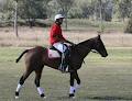 Queensland Polocrosse Association image 6