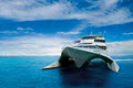 Quicksilver Cruises - Tours & Activities image 2