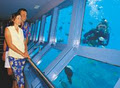 Quicksilver Cruises - Tours & Activities image 5
