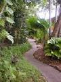 Rainforest Grove Holiday Resort image 6