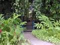 Rainforest Grove Holiday Resort image 1