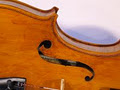 Robinson Violin Shop image 6
