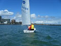 Royal Melbourne Sail Training Academy image 3