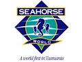 Seahorse World image 5