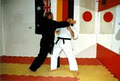 Sendai Karate & Fitness Club image 5