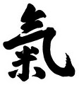 Shinkondo Dojo logo