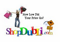 ShopDubLi.com logo