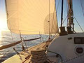 Southern Cross Yachting image 2