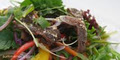 Summerrolls - Vietnamese Salad Bar image 2