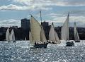 Sydney Amateur Sailing Club image 2