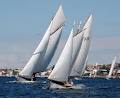 Sydney Amateur Sailing Club image 3