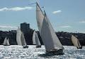 Sydney Amateur Sailing Club image 1