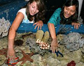 Sydney Aquarium image 3