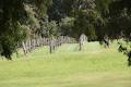 Taste The South Winery & Brewery Tours Margaret River image 6