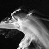 The Australian Ballet image 4