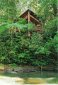 The Canopy Rainforest Treehouses & Wildlife Sanctuary image 2