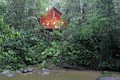 The Canopy Rainforest Treehouses & Wildlife Sanctuary image 1