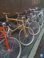 Tokyo Bike image 2