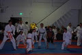 Toyakan Higashi Karate Club image 1