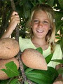 Tropical Fruit World image 2