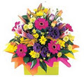 Tweed Banora Flowers image 2