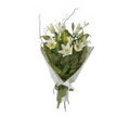 Tweed Banora Flowers image 5