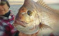 Ulladulla Fishing Charters image 1