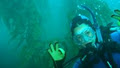 Underwater Adventures Tasmania image 3