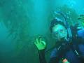 Underwater Adventures Tasmania image 6