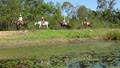 Valley View Park Horse Riding image 2
