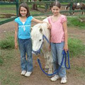 Valley View Park Horse Riding image 5