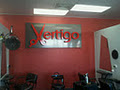 Vertigo Hair & Beauty logo