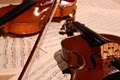 Vici Strings (String Quartet) image 4