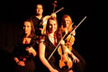 Vici Strings (String Quartet) image 6