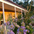 Wallaby Ridge Retreat Bed and Breakfast image 2