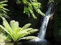 Waterfall Gardens image 5