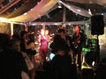 Wedding or Corporate Bands in Sydney -The Next Best Thing Band image 4