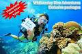 Whitsunday Dive Adventures image 6