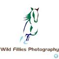 Wild Fillies Photography logo