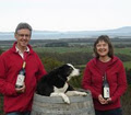 Windy Ridge Vineyard and Winery image 1