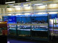 Wonderfish Aquarium image 3