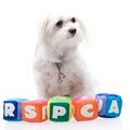 World for Pets The RSPCA Superstore image 1