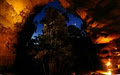 hatters hideout RENT a CAVE image 2