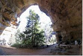 hatters hideout RENT a CAVE image 1